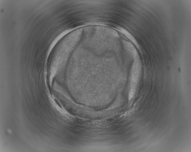 X0000067850955200605111705