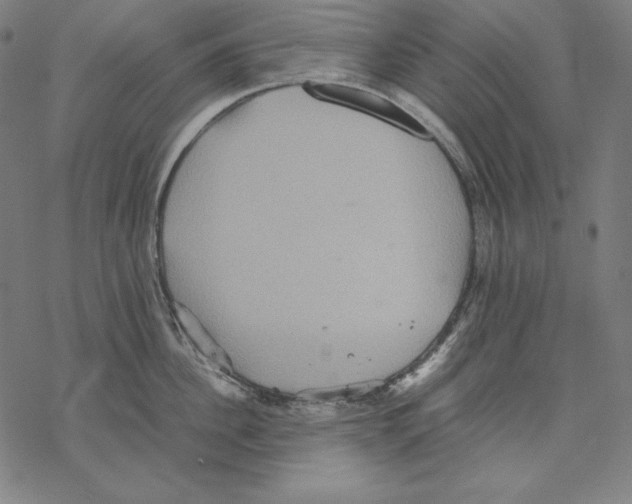 X0000067850956200605111705