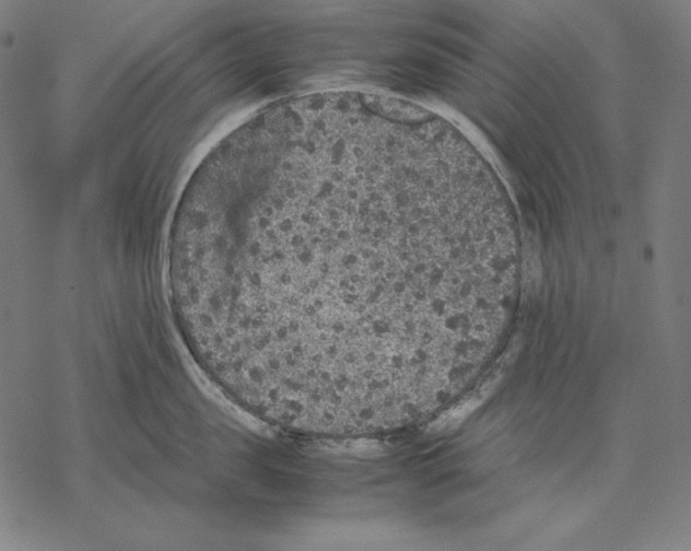 X0000067850957200605111705