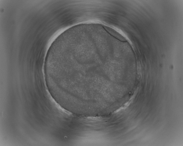 X0000067850959200605111705