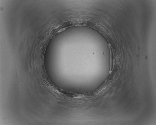 X0000067850961200605111704