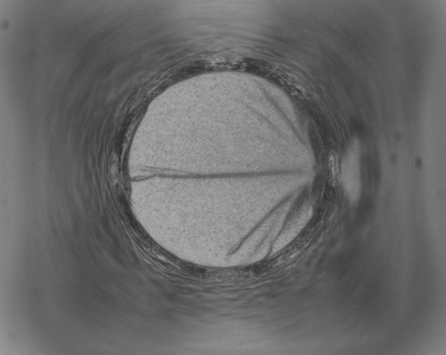 X0000067850963200605111704