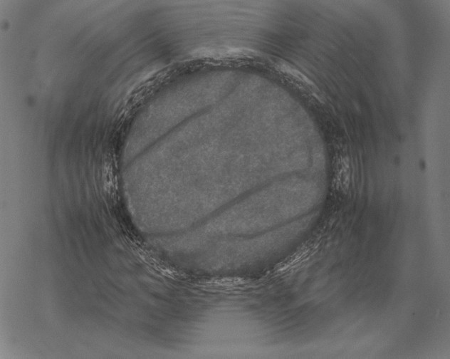 X0000067850966200605111704