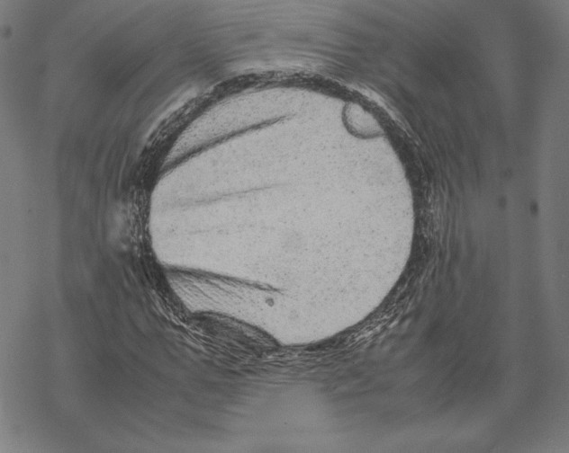 X0000067850967200605111704