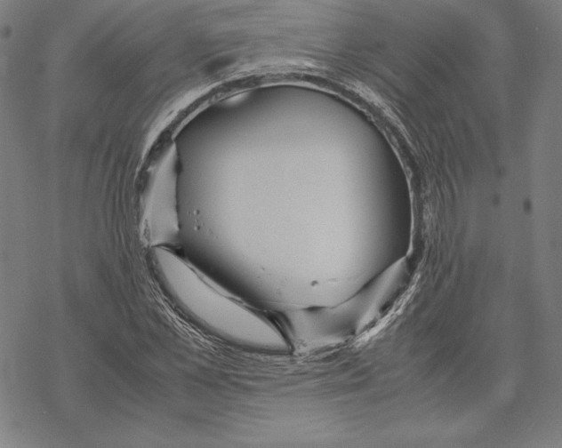 X0000067850973200605111704