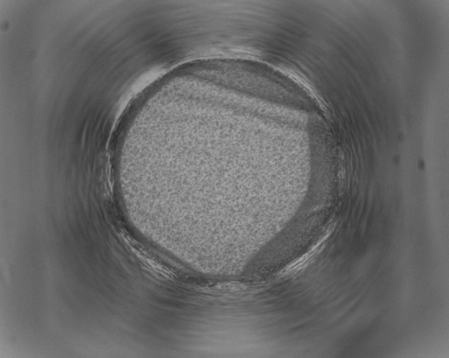 X0000067850974200605111704