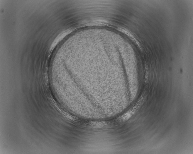 X0000067850978200605111704