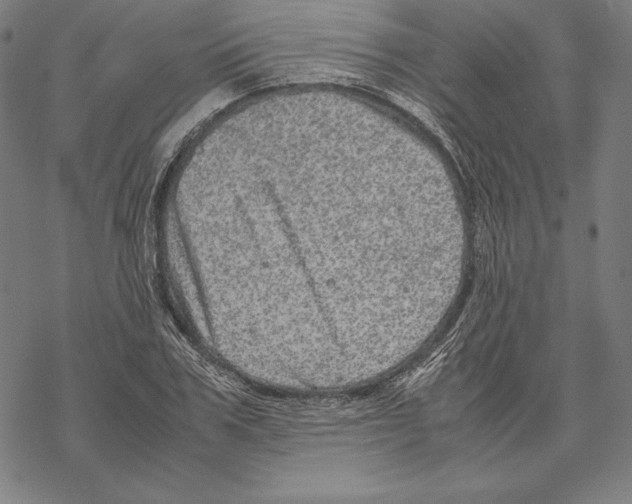 X0000067850979200605111704