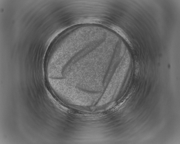 X0000067850980200605111704