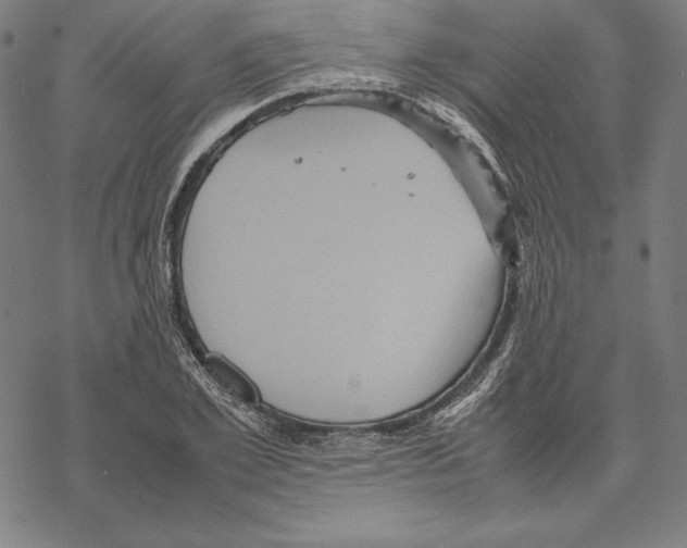 X0000067850981200605111704