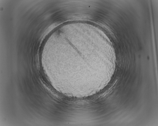 X0000067850982200605111704