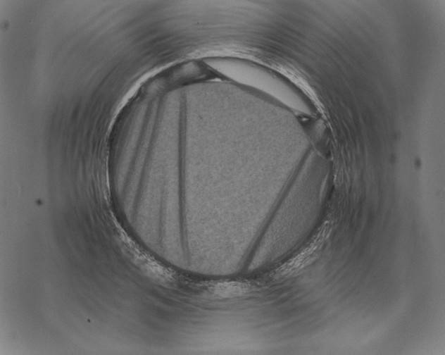 X0000067850984200605111704