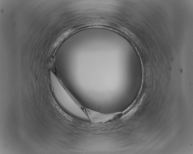 X0000067850985200605111704