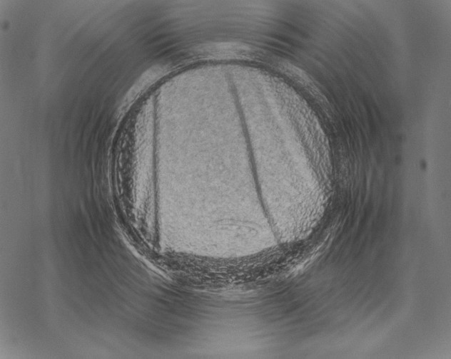 X0000067850986200605111704