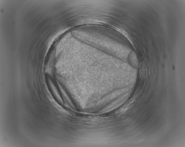 X0000067850987200605111704