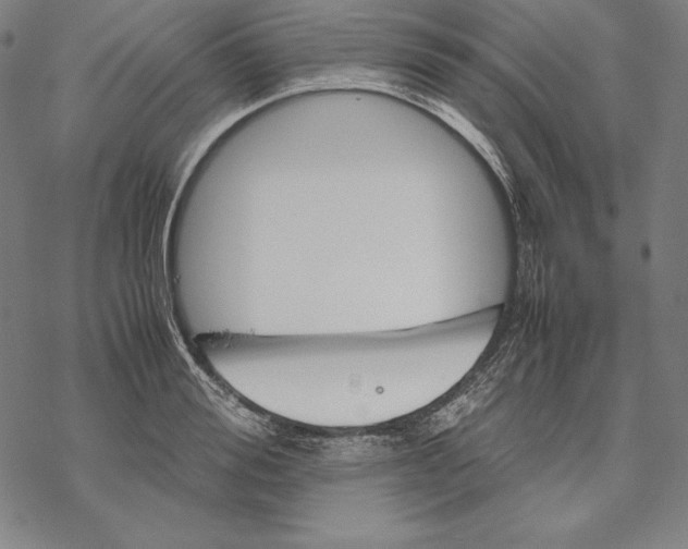 X0000067850988200605111704