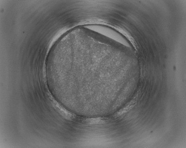 X0000067850990200605111704