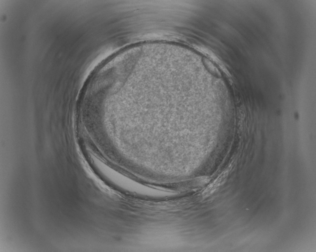 X0000067850991200605111704