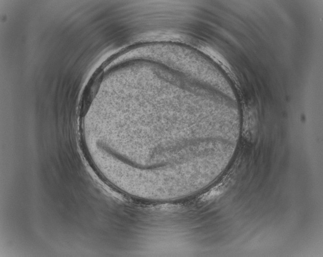 X0000067850992200605111703