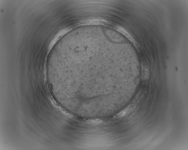 X0000067850994200605111703