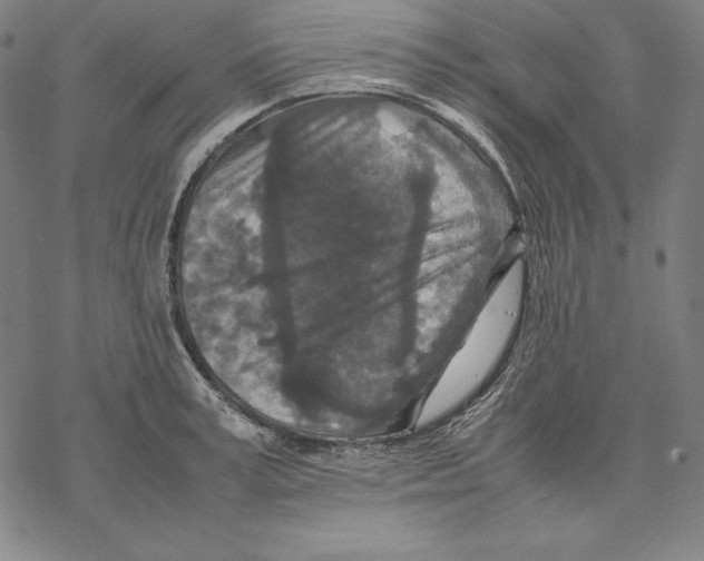 X0000067850995200605111703