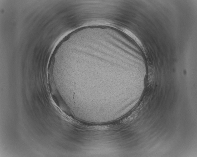 X0000067850996200605111703