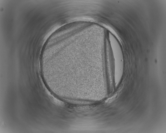 X0000067850999200605111703