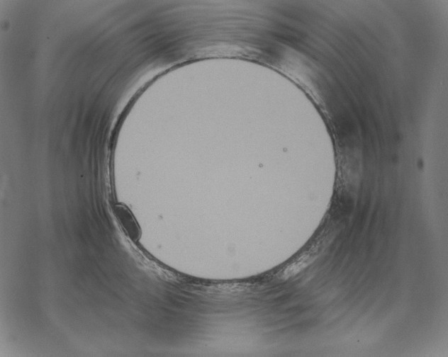 X0000067851000200605111703