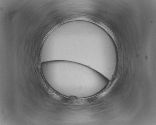 X0000067851001200605111703