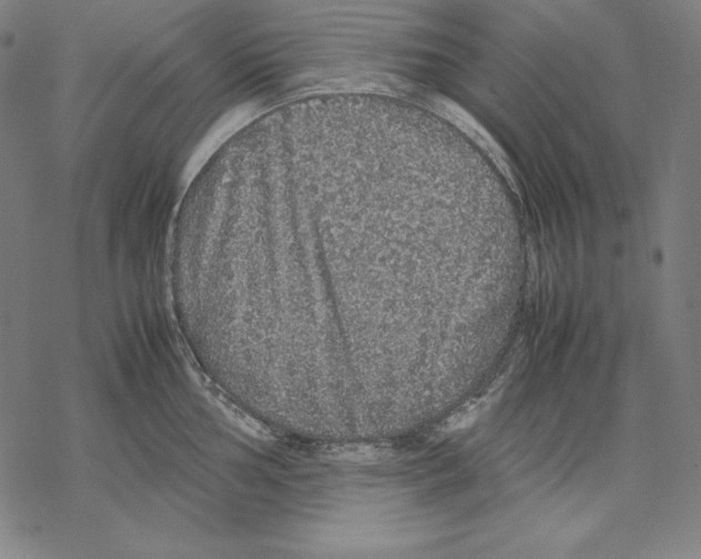 X0000067851002200605111703