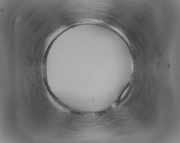 X0000067851003200605111703