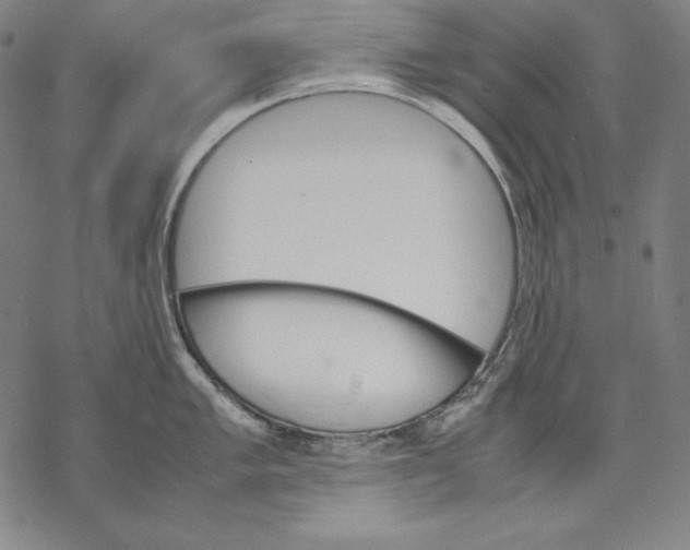 X0000067851005200605111703