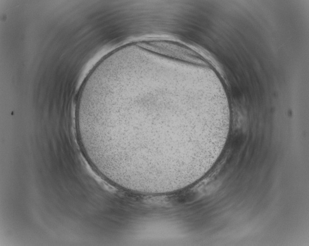 X0000067851006200605111703