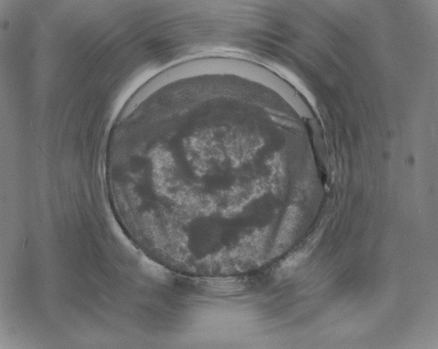 X0000067851007200605111703