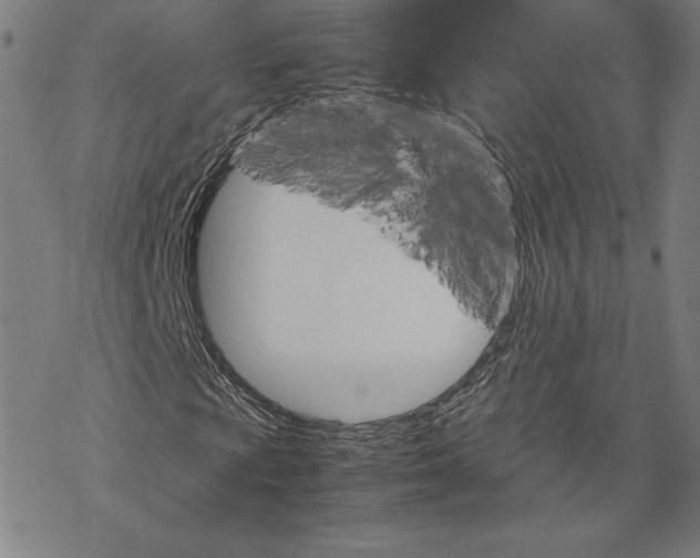 X0000067851009200605111702