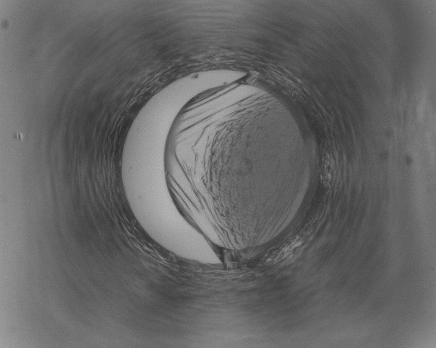 X0000067851010200605111702