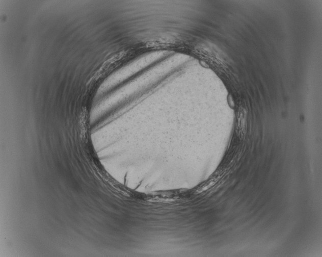 X0000067851012200605111703