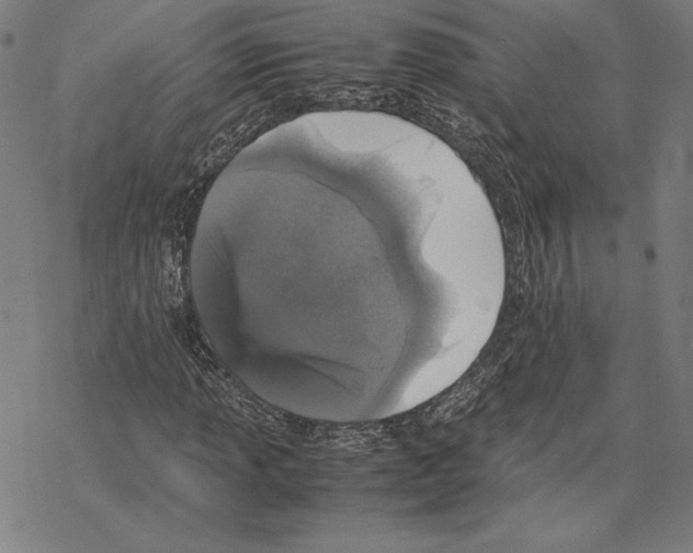 X0000067851013200605111703