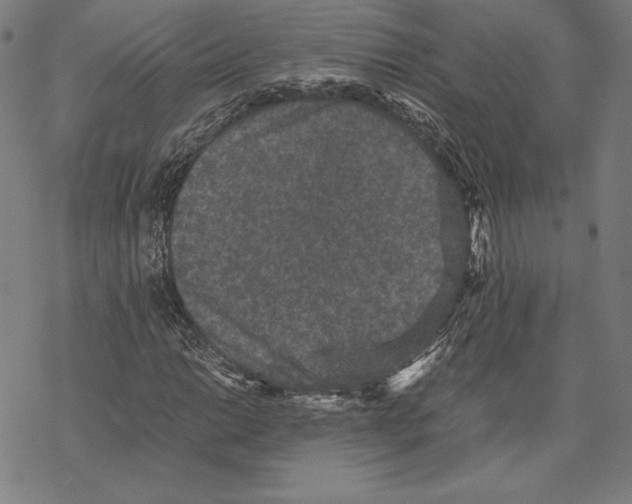 X0000067851014200605111703