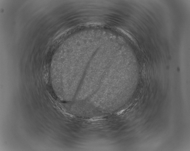 X0000067851015200605111703