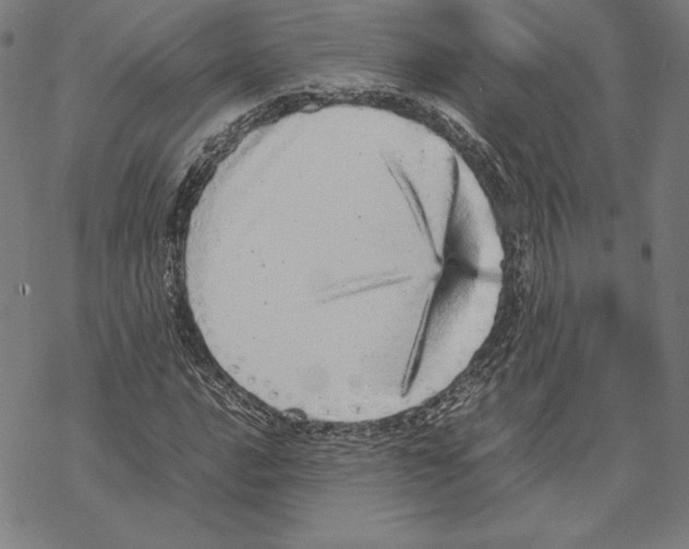 X0000067851016200605111703