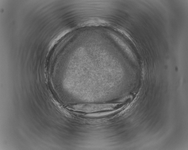 X0000067851018200605111703