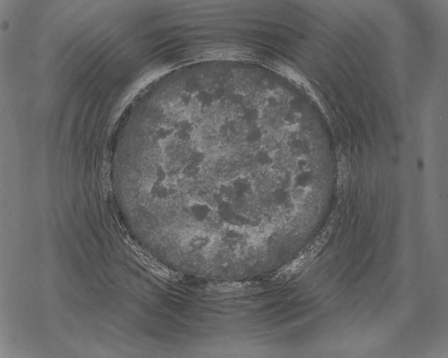 X0000067851019200605111703