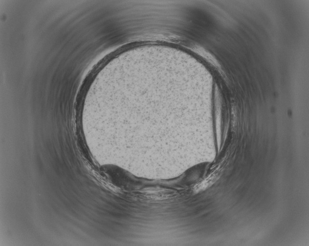 X0000067851020200605111703