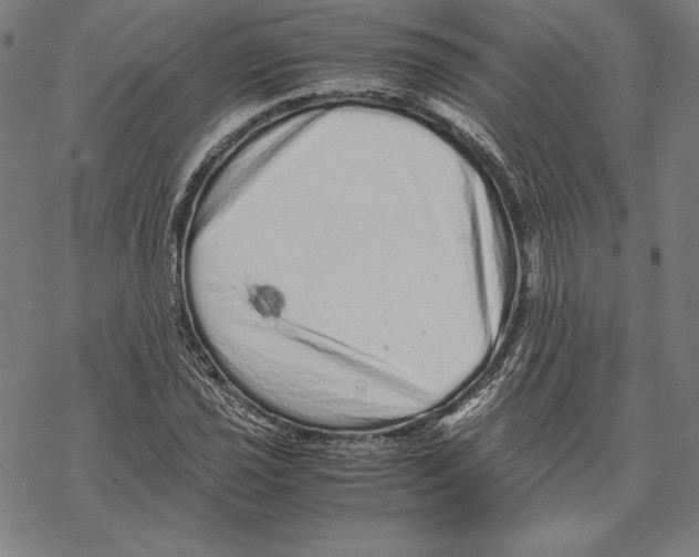 X0000067851021200605111703