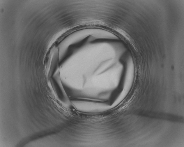 X0000067851022200605111703