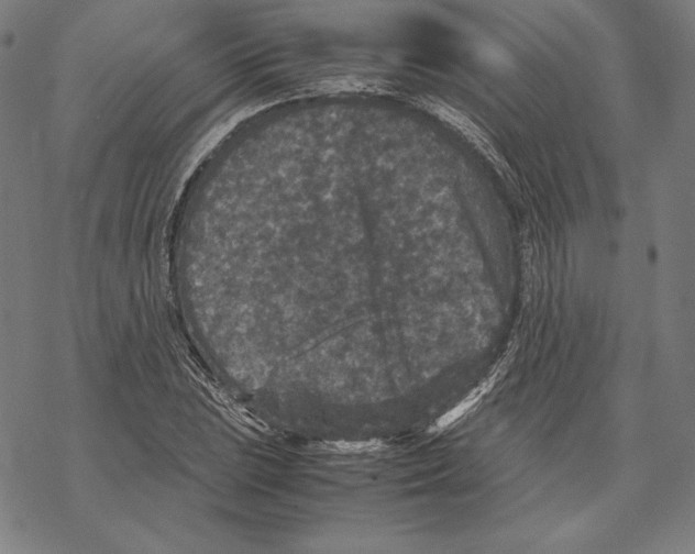 X0000067851023200605111703