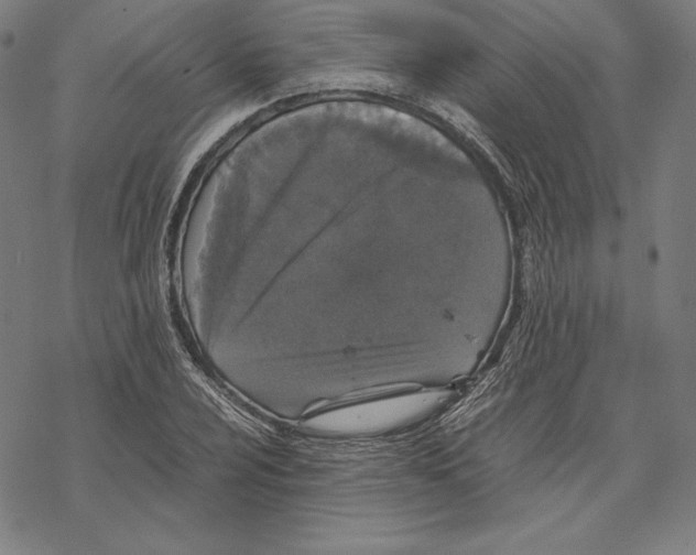 X0000067851024200605111703