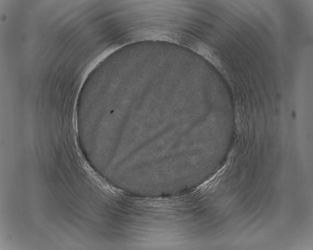 X0000067851028200605111703