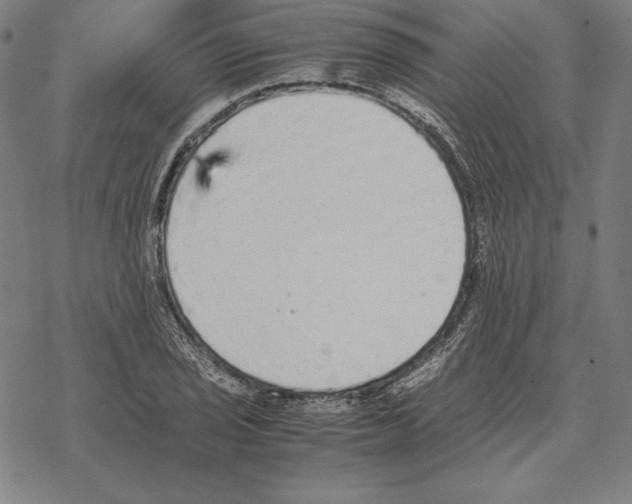 X0000067851029200605111703